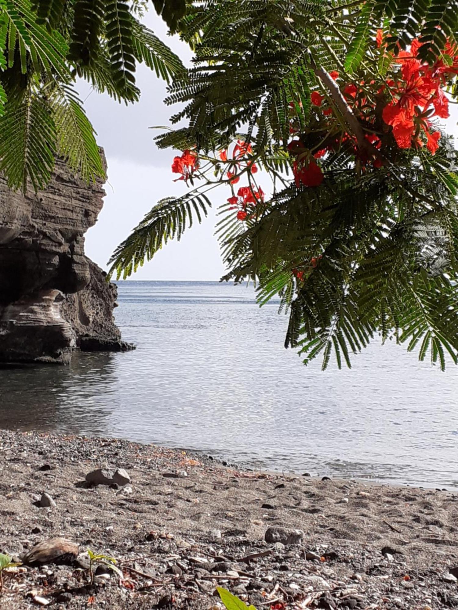 Gites Kas'A Flo Trois-Rivières Exterior foto